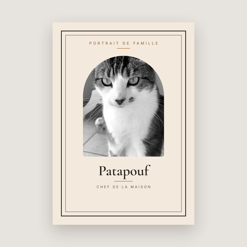 Affiche portrait de chat personnalisée — même portrait en noir et blanc